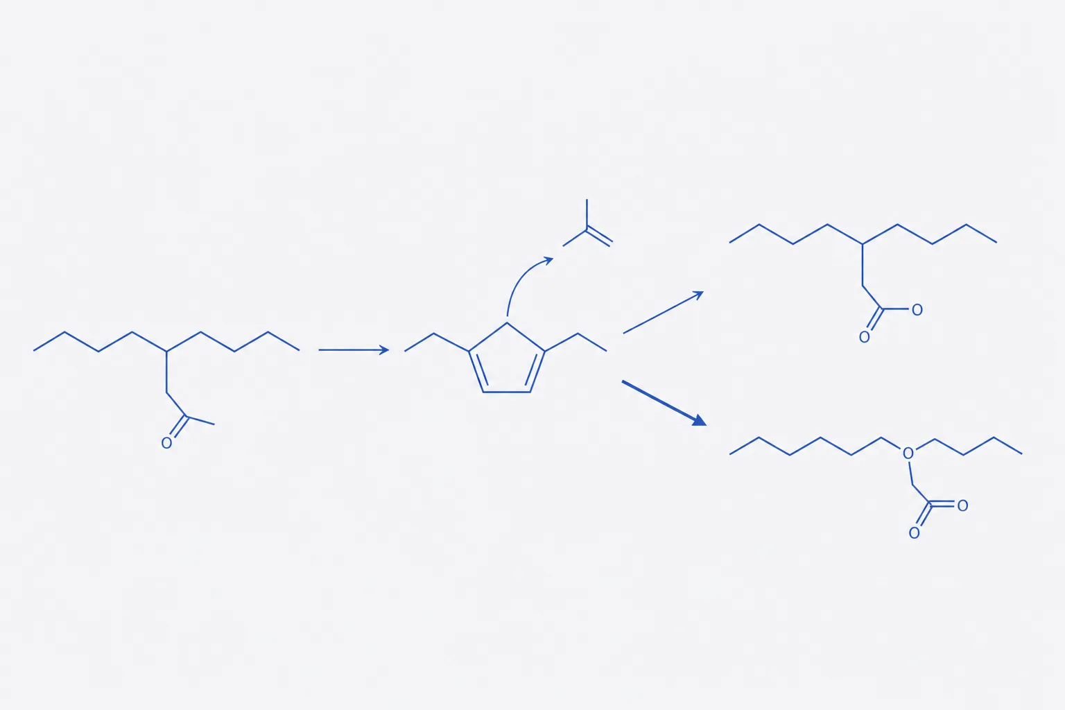 Flat reaction-scheme schematic showing an asparagine side chain cyclising to a five-membered succinimide ring with ammonia released, then branching to two hydrolysis products, one with a normal backbone and one with an extra methylene inserted into the chain