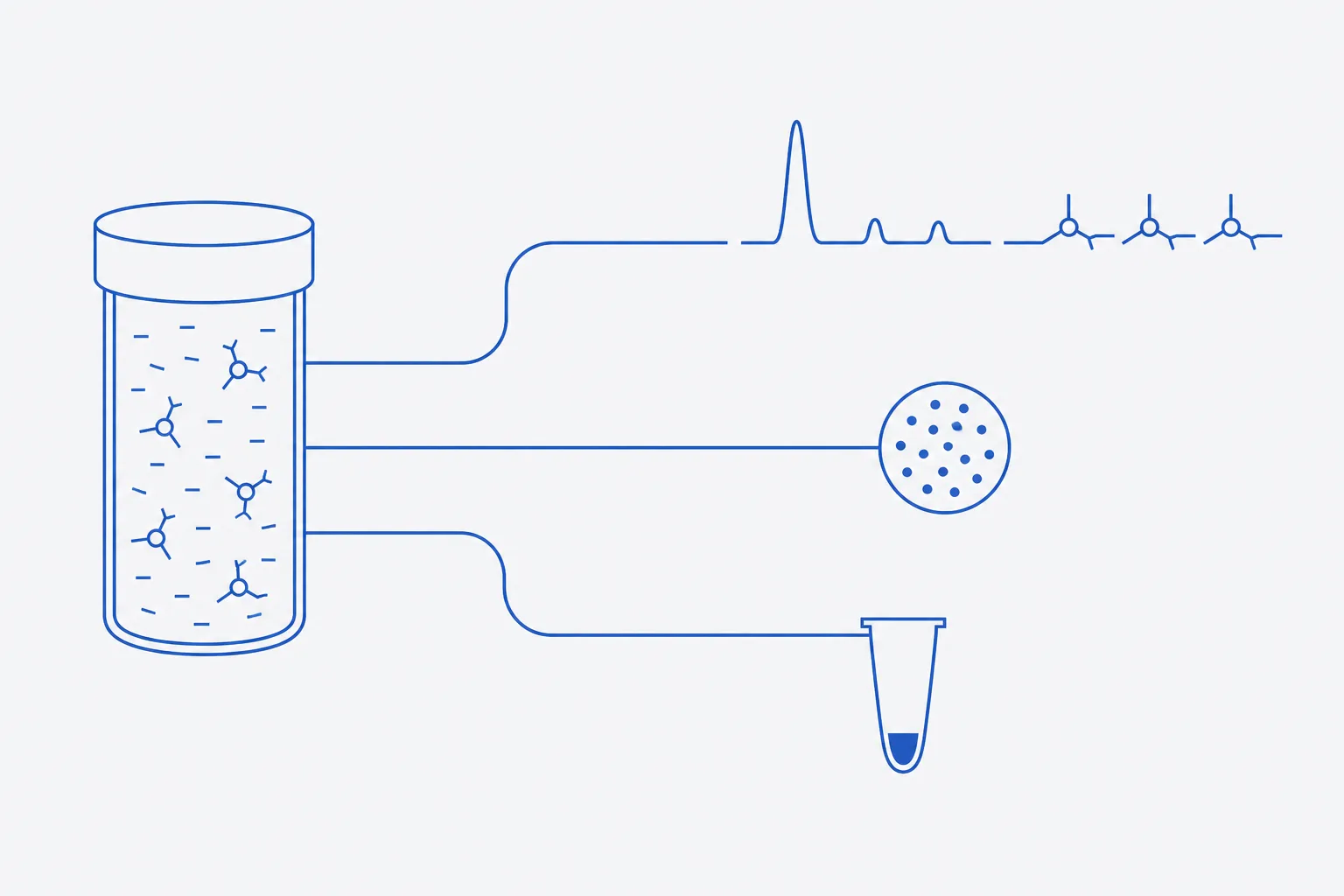Flat schematic of one vial feeding three separate test channels — a chromatogram trace, a culture plate and a clotting tube — with branched-tail endotoxin marks passing unchanged through the chromatography channel and appearing only in the third